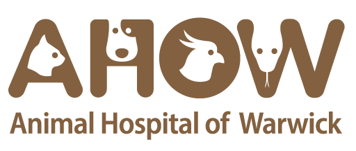 AHOW Logo - Navigate Home