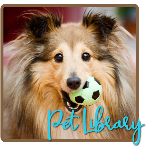 Pet Library Button