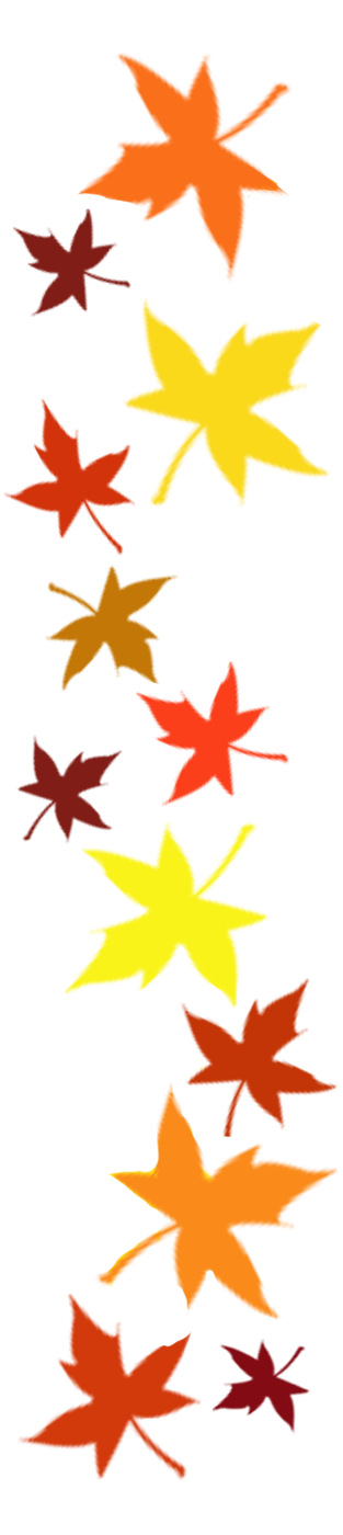 Flower Graphic