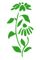 Flower Graphic