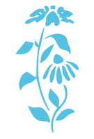 Flower Graphic