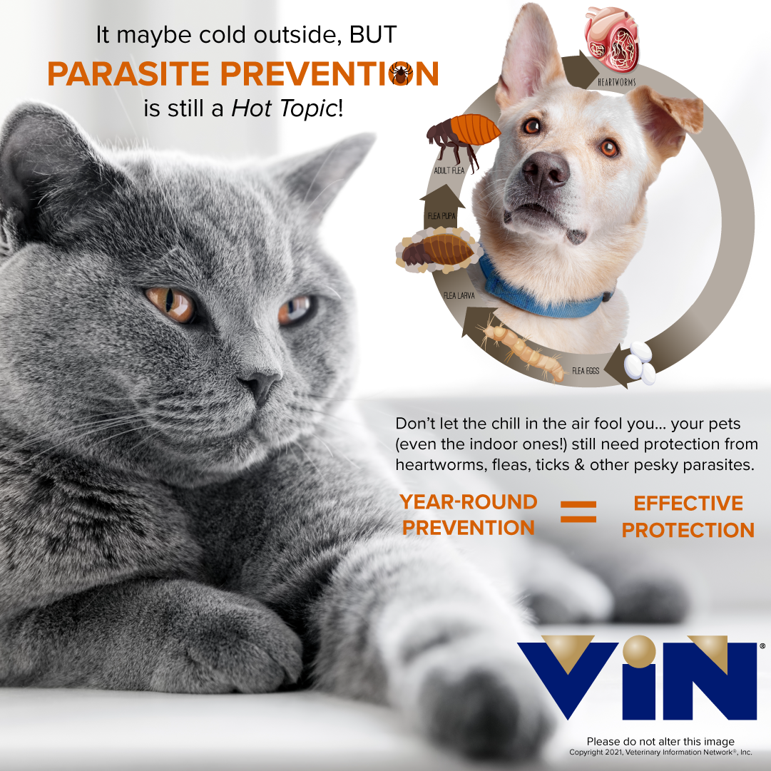 Parasite Prevention